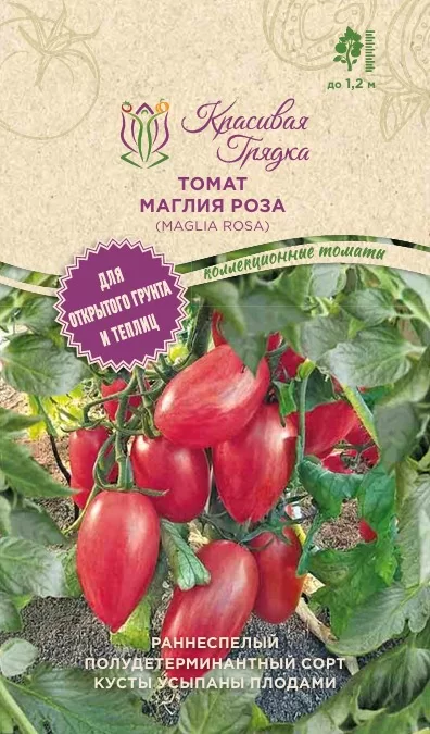 Маглия роза