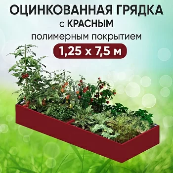 Грядка красная (1,25 х 7,5)